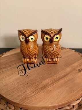 Ceramic Owl Salt & Pepper Shakers - Brown Vintage 1970’s Vibe